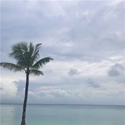 飙车之神手游下载