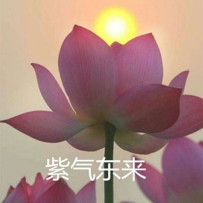 盗墓遇险记无限元宝版下载